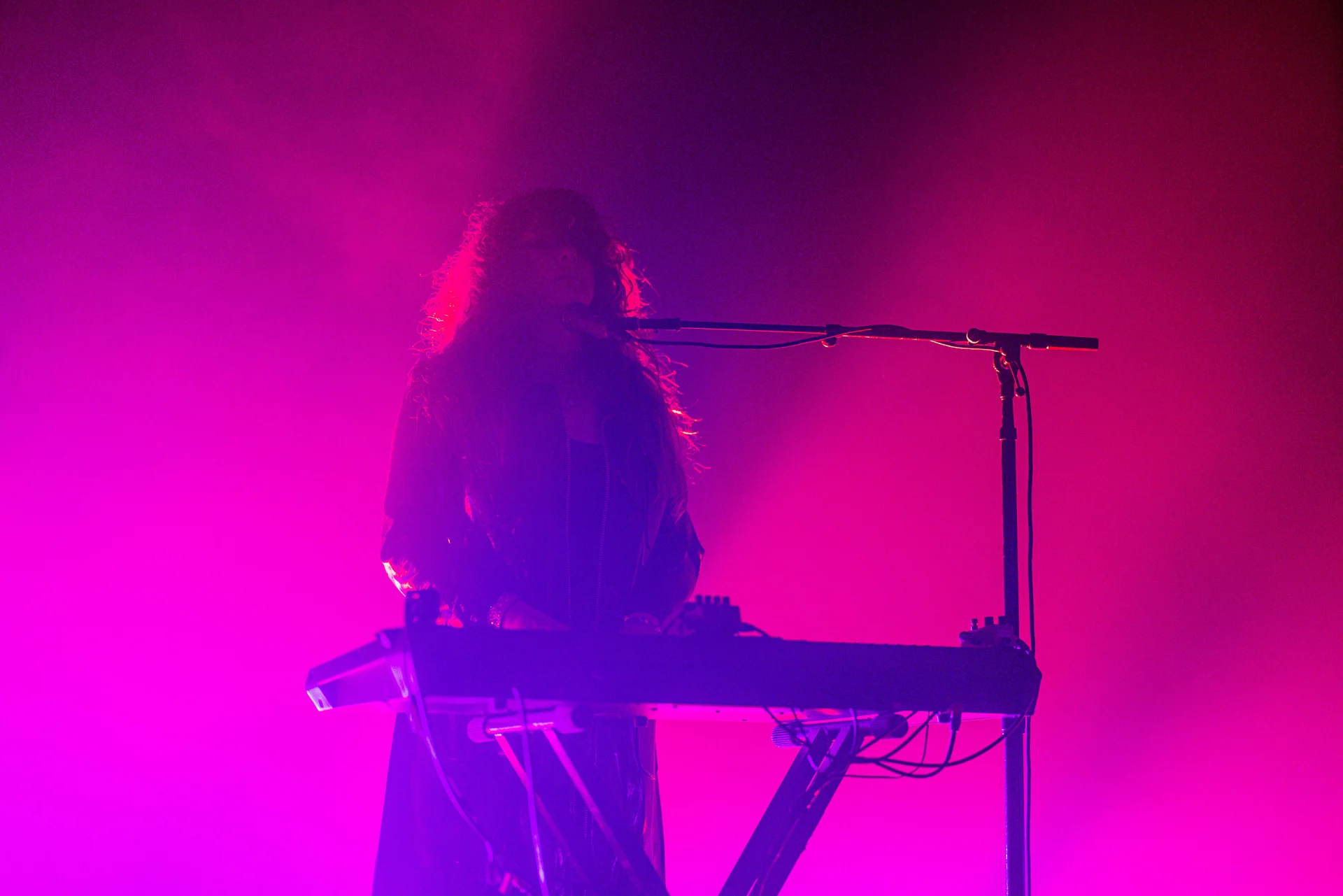Beach House Concert - photo 37 of 38